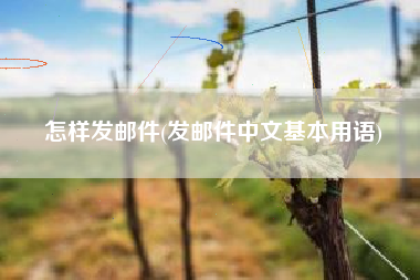 怎样发邮件(发邮件中文基本用语)