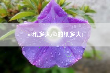 a3纸多大(a3的纸多大)