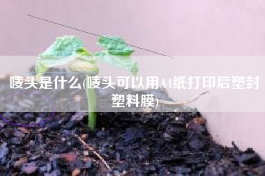唛头是什么(唛头可以用A4纸打印后塑封塑料膜)