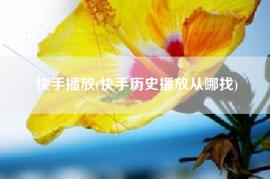快手播放(快手历史播放从哪找)
