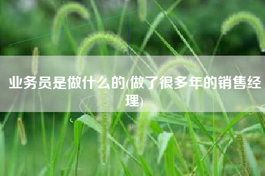 业务员是做什么的(做了很多年的销售经理)