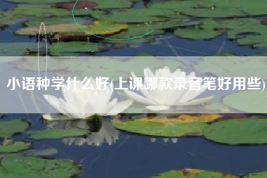 小语种学什么好(上课哪款录音笔好用些)