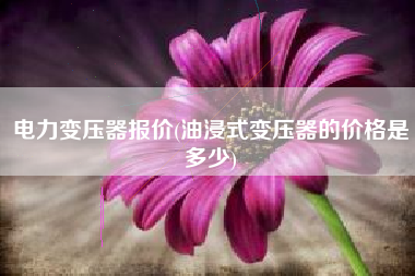 电力变压器报价(油浸式变压器的价格是多少)