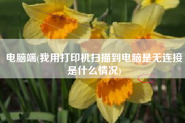 电脑端(我用打印机扫描到电脑是无连接是什么情况)