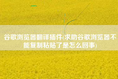 谷歌浏览器翻译插件(求助谷歌浏览器不能复制粘贴了是怎么回事)