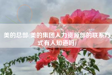 美的总部(美的集团人力资源部的联系方式有人知道吗)