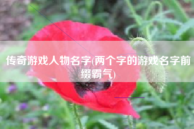 传奇游戏人物名字(两个字的游戏名字前缀霸气)