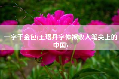 一字千金包(王珞丹字体被收入笔尖上的中国)