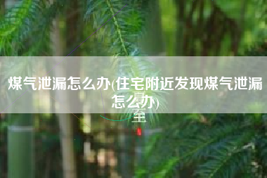 详细阅读:煤气泄漏怎么办(住宅附近发现煤气泄漏怎么办) 煤气泄漏怎么办(住宅附近发现煤气泄漏怎么办)