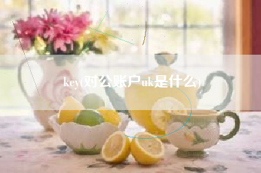 key(对公账户uk是什么)