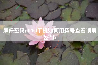 屏保密码(OPPO手机如何用拨号查看锁屏密码)