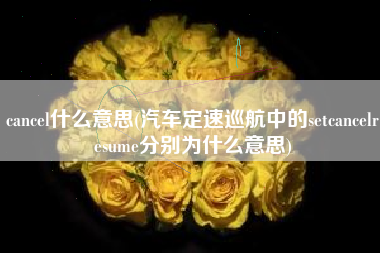 cancel什么意思(汽车定速巡航中的setcancelresume分别为什么意思)