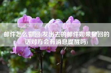 邮件怎么撤回(发出去的邮件如果撤回的话对方会有消息提醒吗)