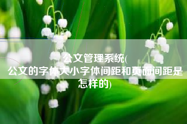 公文管理系统(
公文的字体大小字体间距和页面间距是怎样的) 公文管理系统(
公文的字体大小字体间距和页面间距是怎样的)