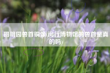 详细阅读:圆明园兽首铜像(闵行博物馆的兽首是真的吗) 圆明园兽首铜像(闵行博物馆的兽首是真的吗)