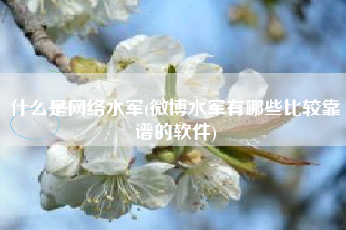 什么是网络水军(微博水军有哪些比较靠谱的软件)