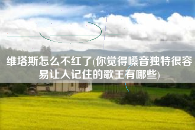 维塔斯怎么不红了(你觉得嗓音独特很容易让人记住的歌王有哪些)