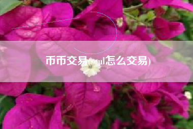 币币交易(soul怎么交易)