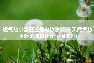 燃气热水器好还是电热水器好(天然气热水器是即热还是恒温的好)