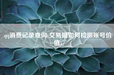 qq消费记录查询(交易猫如何检测账号价值)