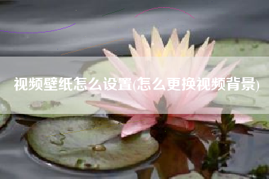 视频壁纸怎么设置(怎么更换视频背景)