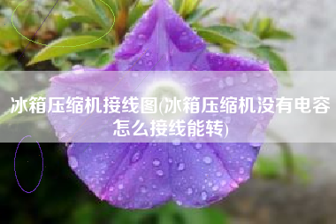 冰箱压缩机接线图(冰箱压缩机没有电容怎么接线能转)