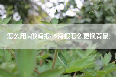 怎么用ps做海报(PS海报怎么更换背景)
