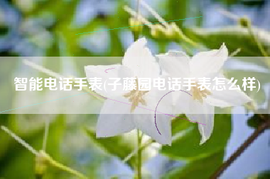智能电话手表(子藤园电话手表怎么样)