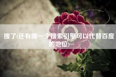 搜了(还有哪一个搜索引擎可以代替百度的地位)