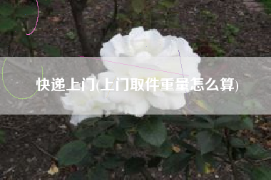 快递上门(上门取件重量怎么算)