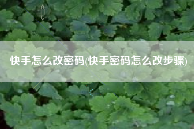 快手怎么改密码(快手密码怎么改步骤)