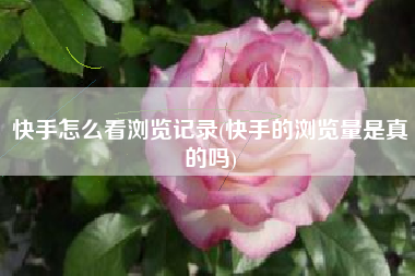 快手怎么看浏览记录(快手的浏览量是真的吗)
