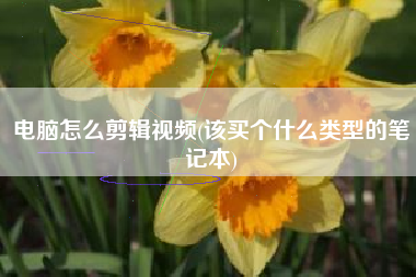 电脑怎么剪辑视频(该买个什么类型的笔记本)