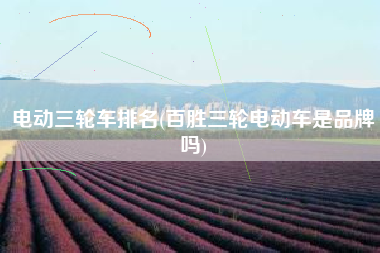 电动三轮车排名(百胜三轮电动车是品牌吗)