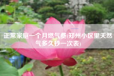正常家庭一个月燃气费(郑州小区里天然气多久抄一次表)