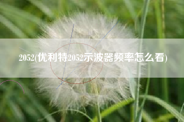 2052(优利特2052示波器频率怎么看)