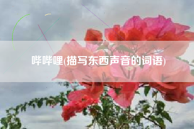 哔哔哩(描写东西声音的词语)