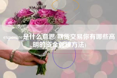 exposure是什么意思(期货交易你有哪些高明的资金管理方法)