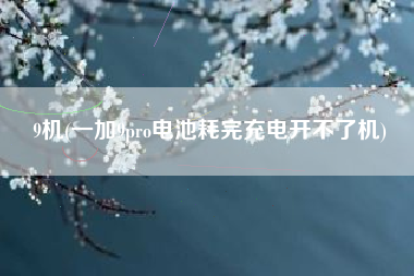 9机(一加9pro电池耗完充电开不了机)