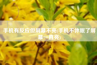 手机有反应但屏幕不亮(手机不休眠了屏幕一直亮)