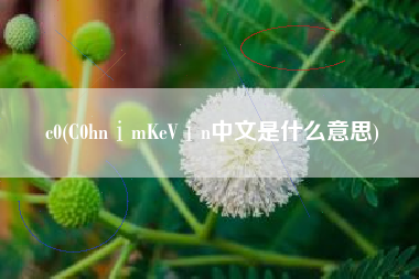 c0(C0hnⅰmKeVⅰn中文是什么意思)