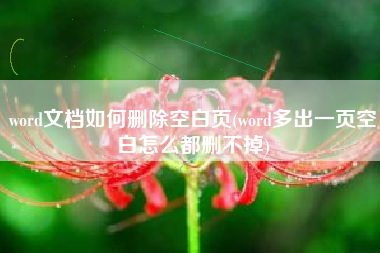 word文档如何删除空白页(word多出一页空白怎么都删不掉)