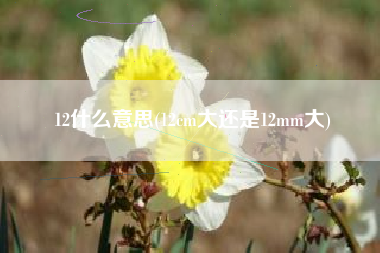 12什么意思(12cm大还是12mm大)