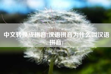中文转换成拼音(汉语拼音为什么叫汉语拼音)