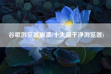 谷歌浏览器崩溃(十大最干净浏览器)