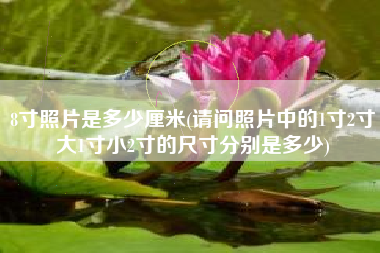 8寸照片是多少厘米(请问照片中的1寸2寸大1寸小2寸的尺寸分别是多少)