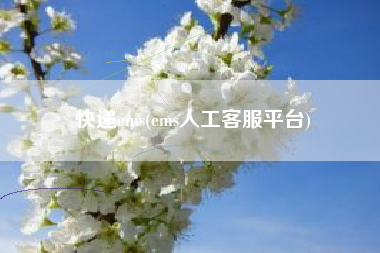快递ems(ems人工客服平台)
