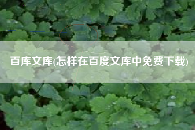 百库文库(怎样在百度文库中免费下载)