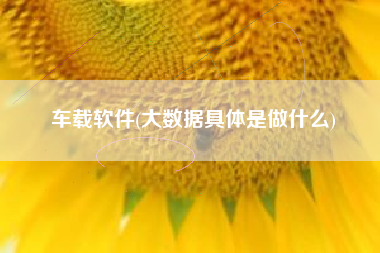 车载软件(大数据具体是做什么)