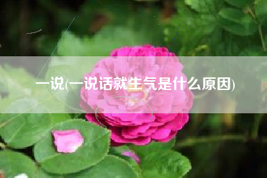 一说(一说话就生气是什么原因)